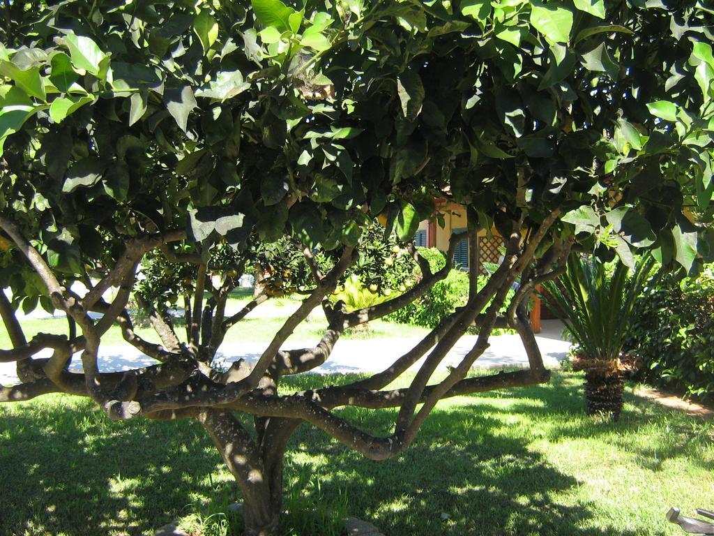 Tenuta Paifer Οτράντο Εξωτερικό φωτογραφία