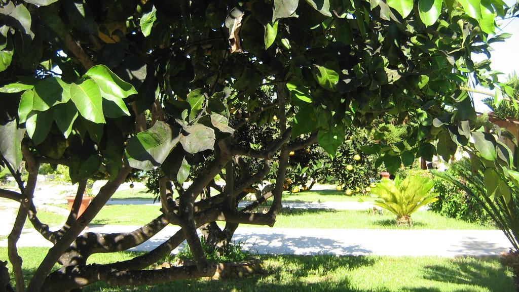 Tenuta Paifer Οτράντο Εξωτερικό φωτογραφία
